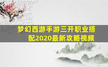 梦幻西游手游三开职业搭配2020最新攻略视频