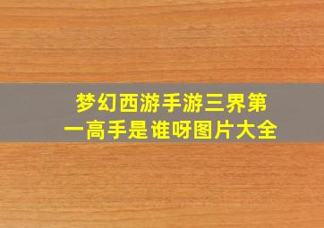 梦幻西游手游三界第一高手是谁呀图片大全