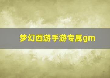 梦幻西游手游专属gm