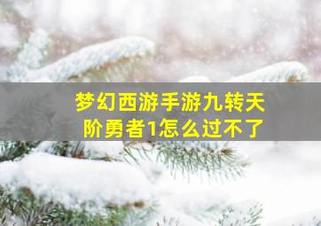 梦幻西游手游九转天阶勇者1怎么过不了