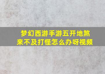 梦幻西游手游五开地煞来不及打怪怎么办呀视频