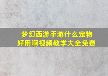 梦幻西游手游什么宠物好用啊视频教学大全免费