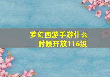 梦幻西游手游什么时候开放116级