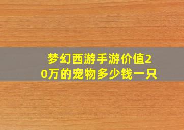 梦幻西游手游价值20万的宠物多少钱一只