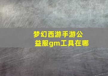 梦幻西游手游公益服gm工具在哪