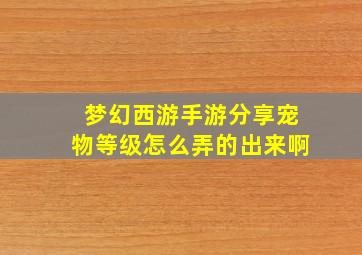 梦幻西游手游分享宠物等级怎么弄的出来啊