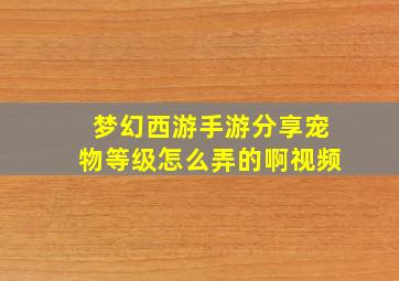 梦幻西游手游分享宠物等级怎么弄的啊视频