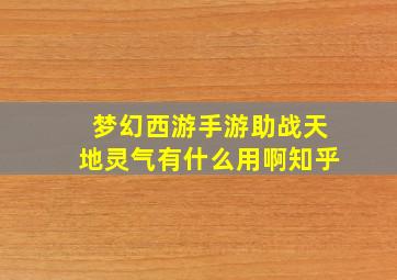 梦幻西游手游助战天地灵气有什么用啊知乎