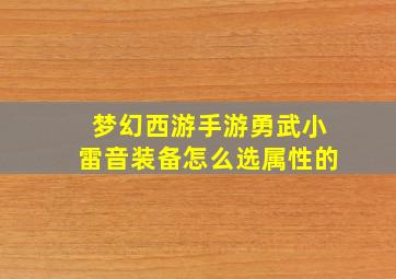 梦幻西游手游勇武小雷音装备怎么选属性的