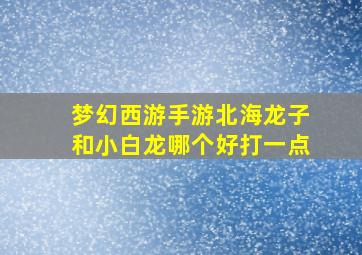 梦幻西游手游北海龙子和小白龙哪个好打一点