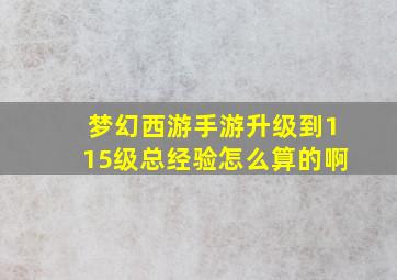 梦幻西游手游升级到115级总经验怎么算的啊