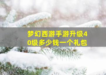 梦幻西游手游升级40级多少钱一个礼包