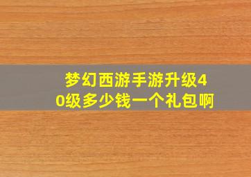 梦幻西游手游升级40级多少钱一个礼包啊