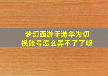 梦幻西游手游华为切换账号怎么弄不了了呀