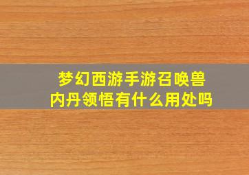 梦幻西游手游召唤兽内丹领悟有什么用处吗