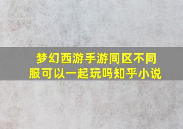 梦幻西游手游同区不同服可以一起玩吗知乎小说