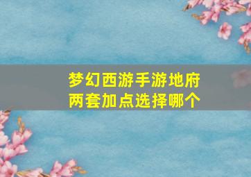 梦幻西游手游地府两套加点选择哪个