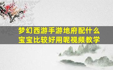 梦幻西游手游地府配什么宝宝比较好用呢视频教学