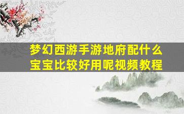 梦幻西游手游地府配什么宝宝比较好用呢视频教程