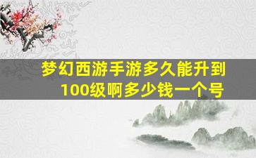 梦幻西游手游多久能升到100级啊多少钱一个号