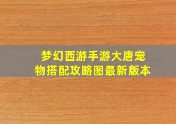 梦幻西游手游大唐宠物搭配攻略图最新版本