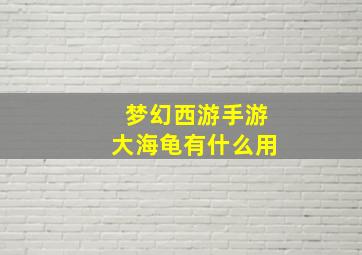 梦幻西游手游大海龟有什么用