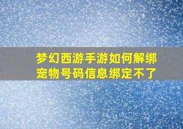 梦幻西游手游如何解绑宠物号码信息绑定不了