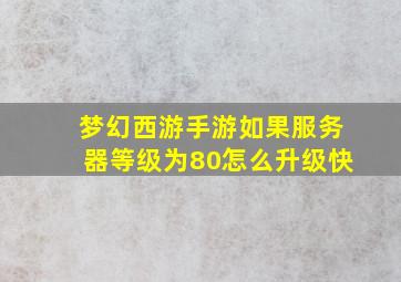 梦幻西游手游如果服务器等级为80怎么升级快