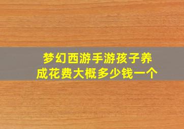 梦幻西游手游孩子养成花费大概多少钱一个