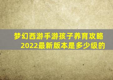 梦幻西游手游孩子养育攻略2022最新版本是多少级的