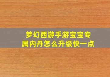 梦幻西游手游宝宝专属内丹怎么升级快一点