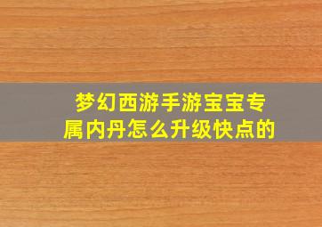 梦幻西游手游宝宝专属内丹怎么升级快点的