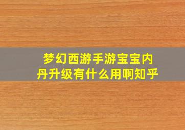 梦幻西游手游宝宝内丹升级有什么用啊知乎