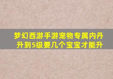 梦幻西游手游宠物专属内丹升到5级要几个宝宝才能升