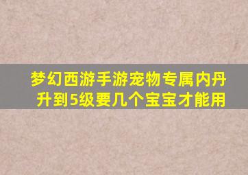 梦幻西游手游宠物专属内丹升到5级要几个宝宝才能用