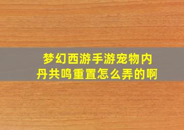 梦幻西游手游宠物内丹共鸣重置怎么弄的啊