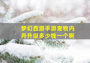 梦幻西游手游宠物内丹升级多少钱一个啊