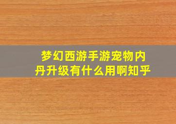 梦幻西游手游宠物内丹升级有什么用啊知乎