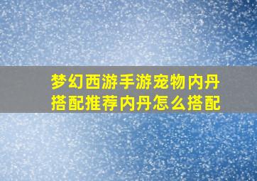 梦幻西游手游宠物内丹搭配推荐内丹怎么搭配