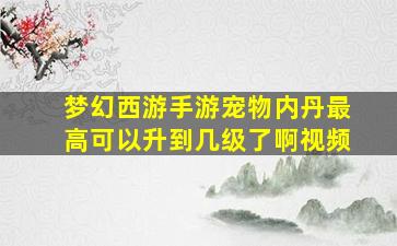 梦幻西游手游宠物内丹最高可以升到几级了啊视频