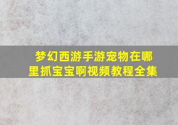 梦幻西游手游宠物在哪里抓宝宝啊视频教程全集