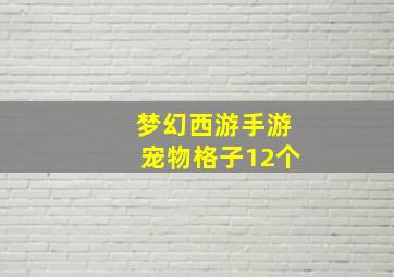 梦幻西游手游宠物格子12个