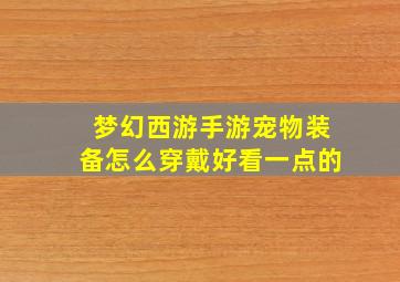 梦幻西游手游宠物装备怎么穿戴好看一点的