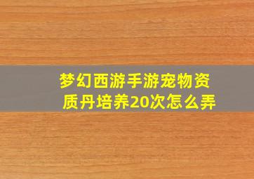 梦幻西游手游宠物资质丹培养20次怎么弄