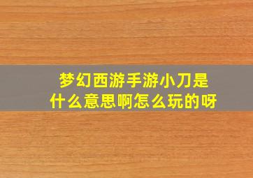 梦幻西游手游小刀是什么意思啊怎么玩的呀