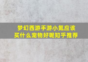 梦幻西游手游小氪应该买什么宠物好呢知乎推荐