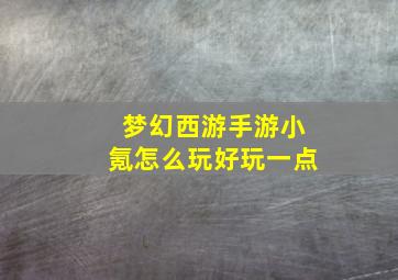 梦幻西游手游小氪怎么玩好玩一点