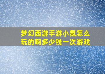 梦幻西游手游小氪怎么玩的啊多少钱一次游戏