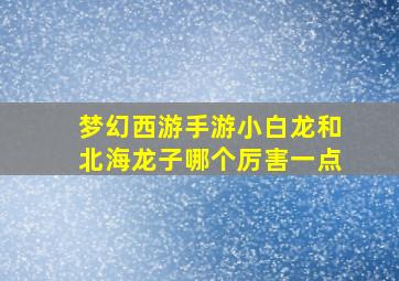 梦幻西游手游小白龙和北海龙子哪个厉害一点