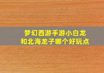 梦幻西游手游小白龙和北海龙子哪个好玩点